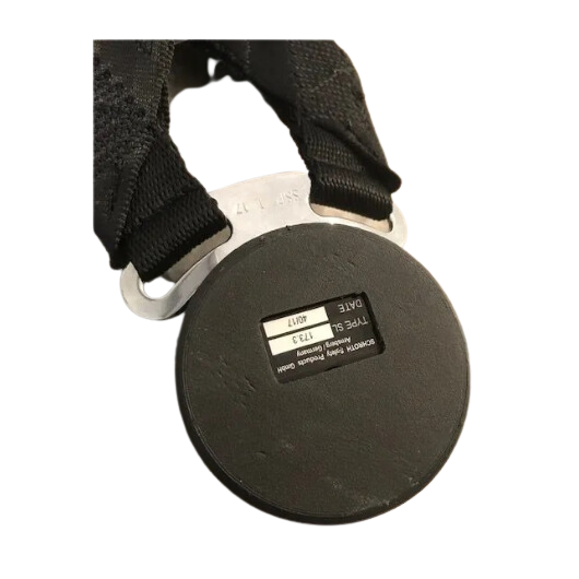 Car racing harness